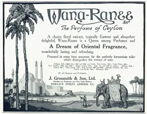 Twenties Prints: Advert for Wana Ranee - Oriental Fragrance 1920