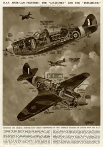 Fighter Prints: Airacobra and Tomahawk fighters by G. H. Davis