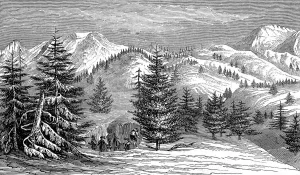 Beautiful Prints: Ameerica. Scenes in Oregon and California. Pass in the Sierr