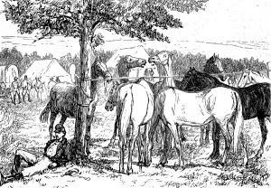 Camp Prints: America. An artist in the Far West, part III. Our camp at Mu