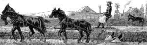 1883 Prints: America. Wheat Farming in California. November: Ploughing
