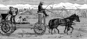 Drawn Prints: America. Wheat Farming in California. January: Broad Cast So