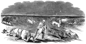 1844 Prints: American Prairie on Fire