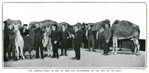 Arena Prints: Animals at the London Hippodrome