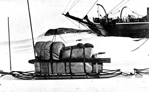 Size Prints: Antarctic Expedition Sledge, c. 1903