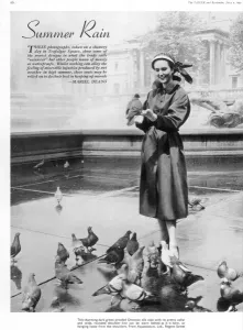 Ottoman Prints: Aquascutum rainwear