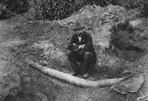 Discovery Prints: An archaeologist sits next to the unearthed remains of a st