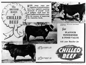Argentine Prints: Argentine beef