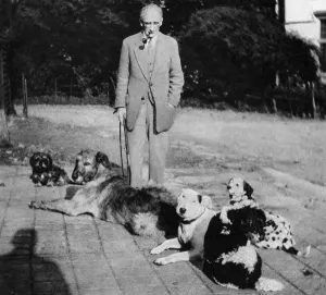 Cecil Prints: Artist Cecil Aldin and the Firm - his pet dogs