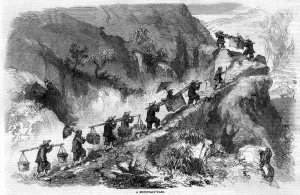 Visitors Prints: Ascending a mountain in China with coolies