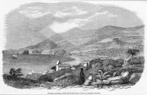 Atlantic Prints: Atlantic Is. Madeira
