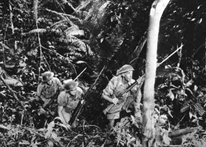 Common Wealth Prints: Australian troops train in Malaya
