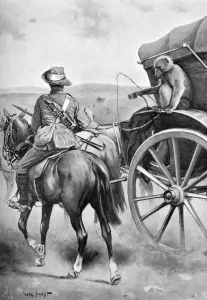 Military Prints: Baboon military mascot, 1901