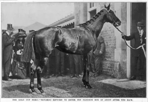Hero Prints: Bayardo, the Gold Cup hero