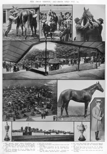 Bred Prints: Bayardos Gold Cup