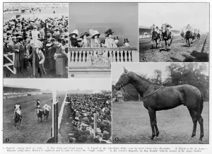 Leger Prints: Bayardos St Leger