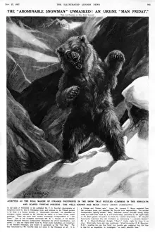 Tracks Prints: Bear believed responsible for 1937yeti footprints on Everest