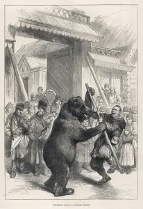 Mock Prints: Bear Performs Fight