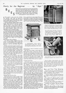 Wwii Prints: Bees, mainly for the beginner, 1941