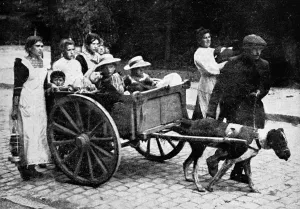 29th Prints: Belgian peasant refugees