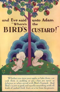 Infants Prints: Birds Custard advertisement