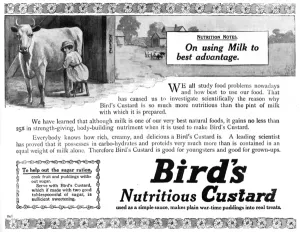 Custard Prints: Birds custard advertisement, WW1
