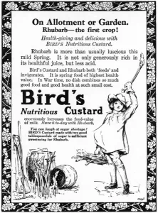 Fruit Prints: Birds Custard advertisement, WW1