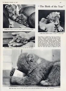 Young Prints: The Birth of the Year, Evelyn Spice film
