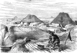 Fields Prints: Bog village, County Roscommon, Ireland