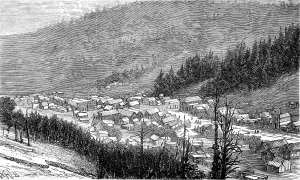 1881 Prints: Bonanza, Sagnache County, 1881