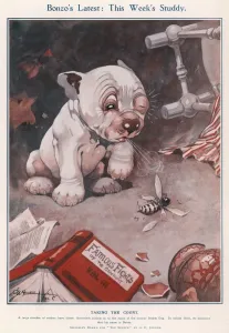 Bonzo Prints: Bonzos Latest: This Weeks Studdy