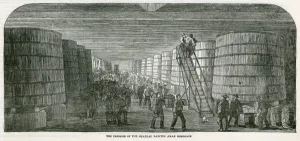 Bringing Prints: Bordeaux Wine Growing