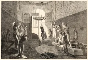 Blitz Prints: Bow Bells 1850