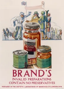 Preparations Prints: Brands Invalid Preparations advertisement