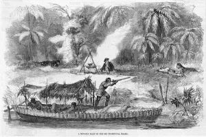 Interesting Prints: Brazil Trombutas River
