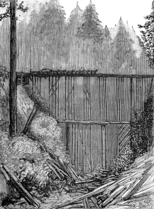 Forest Prints: A Bridge in the Redwood Forest, California, 1884