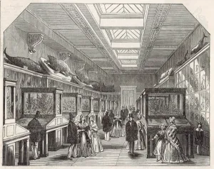 Museums Prints: Brit Mus Coral Room
