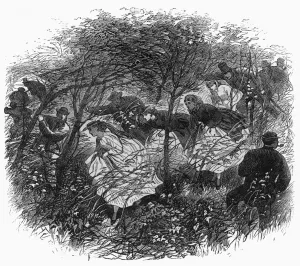 Association Prints: British Association outing to the Wrekin