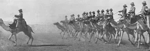 Desert Prints: British Camel Corps in the Sudan, 1916