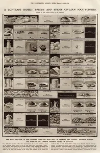 Austria Prints: British and enemy civilian food supplies during WWI