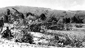 Seeking Prints: British guns camouflaged from the range-seeking German airmen