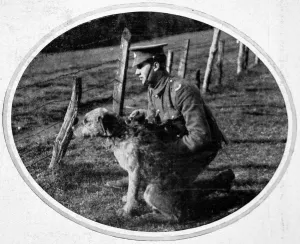 Germans Prints: British War Dog