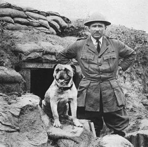 Patriotic Prints: A bulldog mascot of a Canadian regiment in France