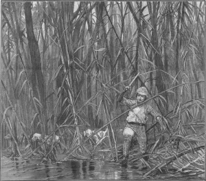 Traveller Prints: In Burmese Jungle