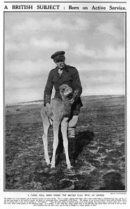 Camel Prints: A camel foal with a British officer, WW1