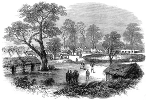 Central Prints: The Camp at Dunquah, Gold Coast, 1874
