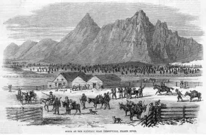 Columbia Prints: Canada Parsonville
