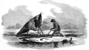 Canadian Prints: Canadian guide making a canoe, 1858