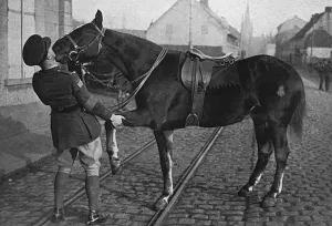 Staff Prints: A Canadian staff officer saying goodbye to his horse