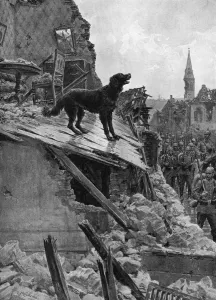 Guarding Prints: Canine Devotion in War Time, WW1 dog guarding home